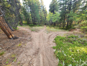 unauthorized trail