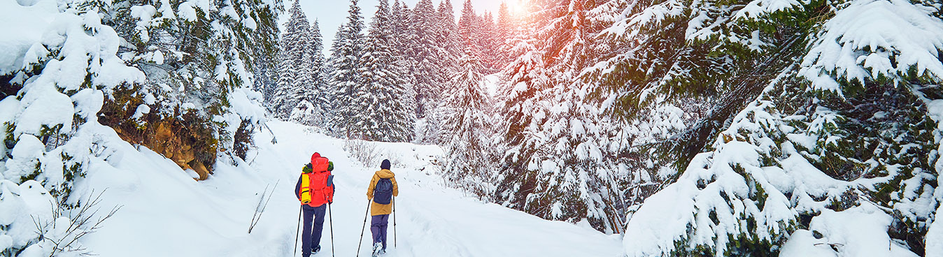 people walking in winter